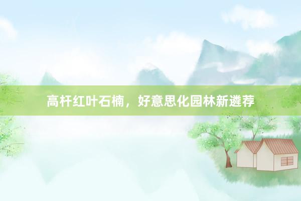 高杆红叶石楠，好意思化园林新遴荐