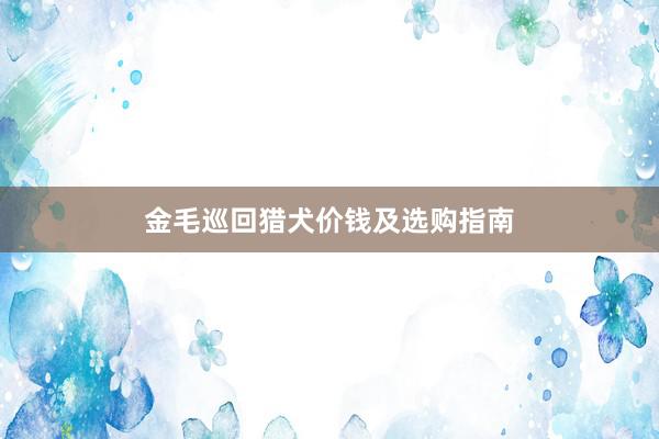 金毛巡回猎犬价钱及选购指南