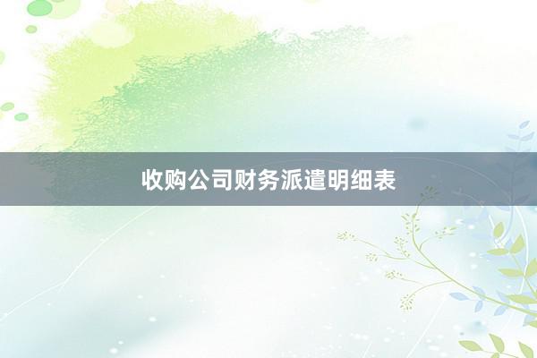 收购公司财务派遣明细表